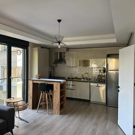 New House At Besiktas Area *